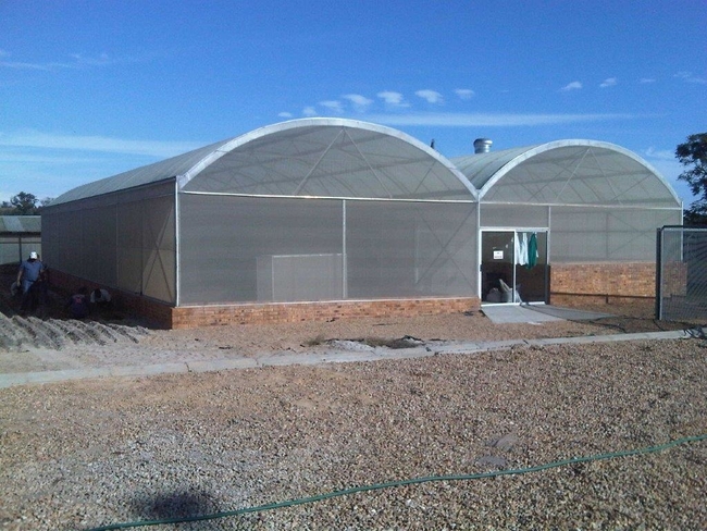 8m Multispan insect proof greenhouse with Polycarb roof.